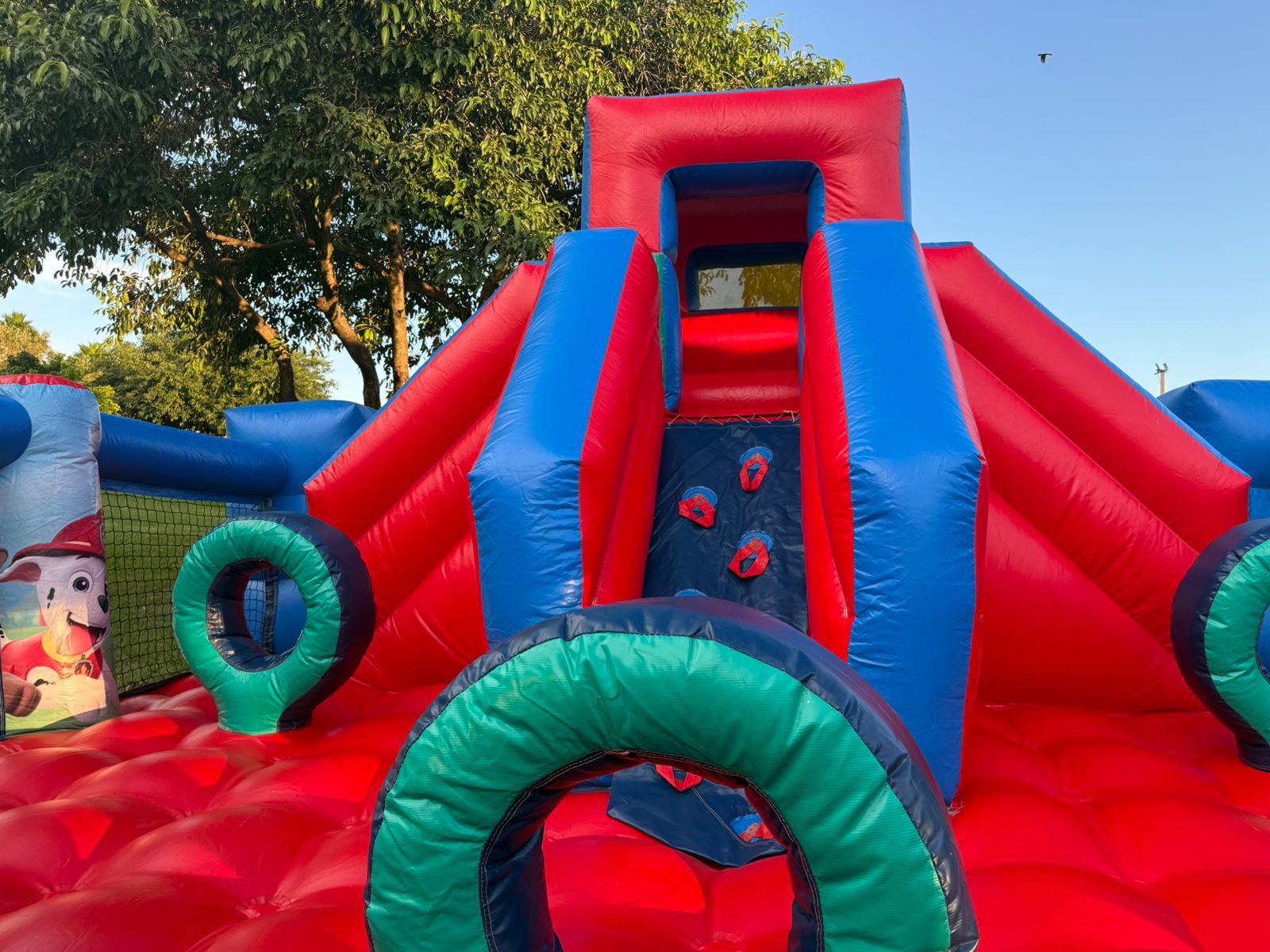 WhatsApp Image 2026-03-04 at 22.33.06