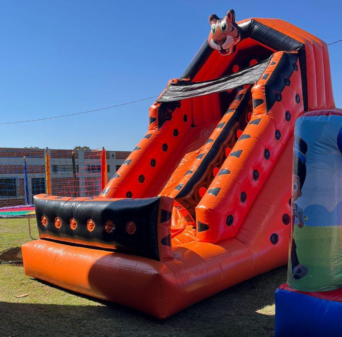 WhatsApp Image 2026-03-04 at 23.38.44 (1)