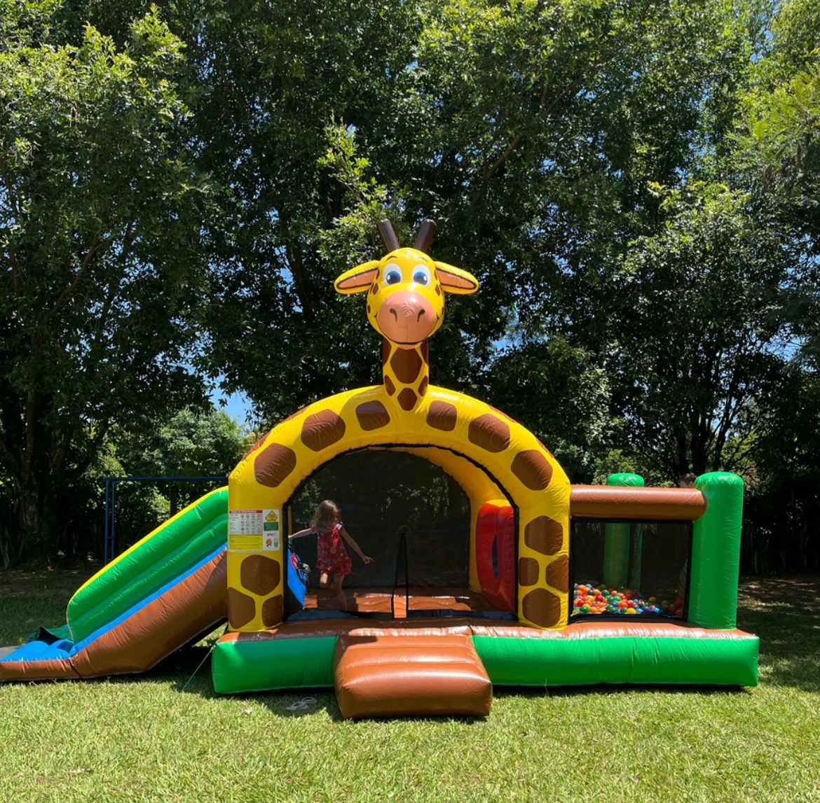 WhatsApp Image 2026-03-12 at 01.31.07