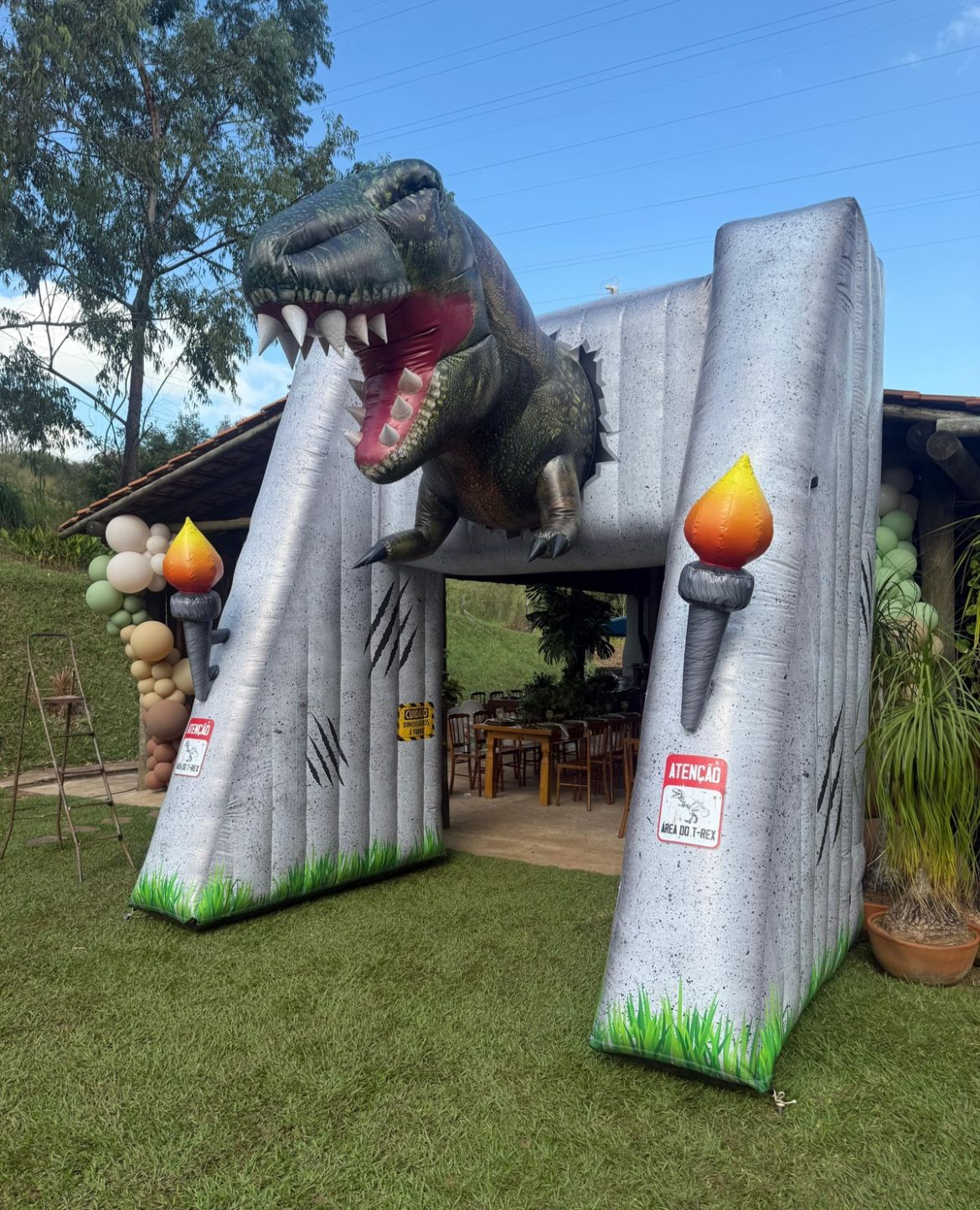 WhatsApp Image 2026-03-12 at 01.39.10