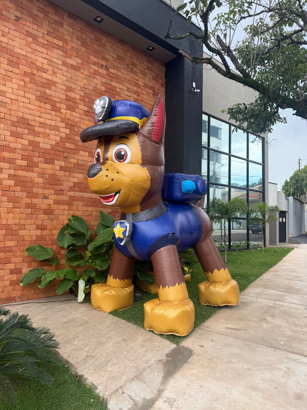 WhatsApp Image 2026-03-12 at 01.40.49 (1)