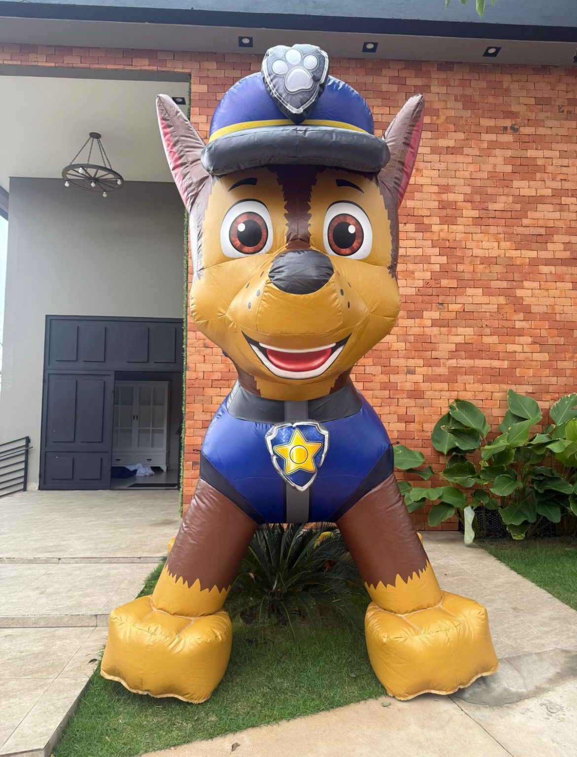 WhatsApp Image 2026-03-12 at 01.40.49