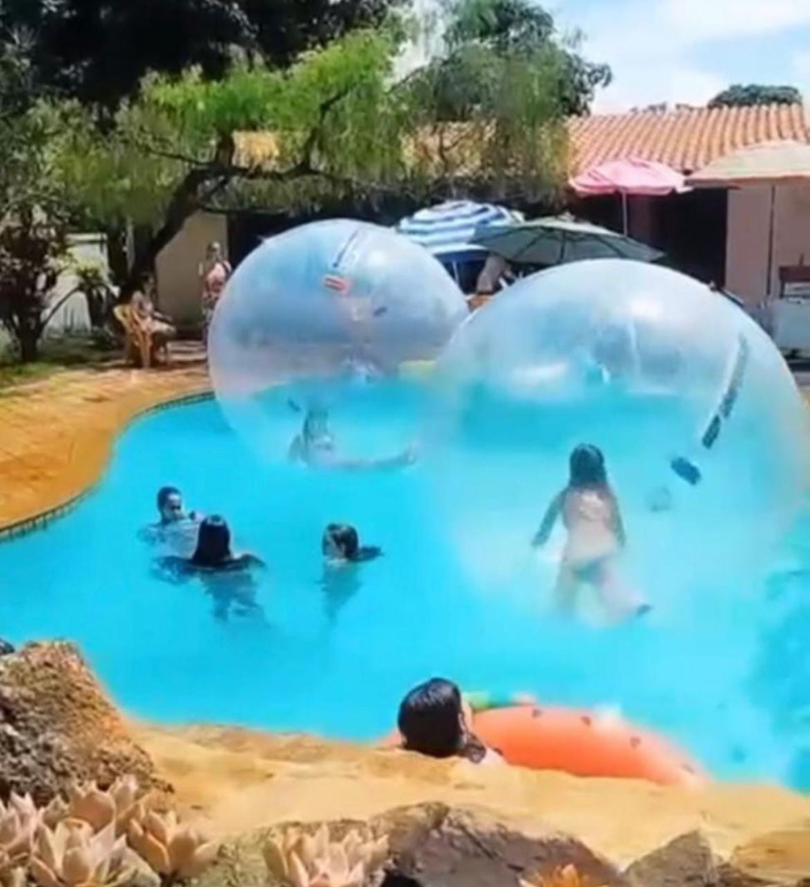 WhatsApp Image 2026-03-12 at 01.53.29